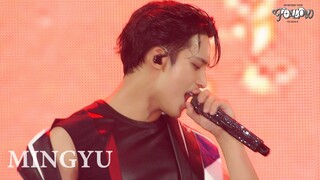 SEVENTEEN TOUR [FOLLOW] TO SEOUL (MINGYU FOCUS)