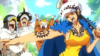 Inikah Para Dokter Yang OverPower di One Piece??