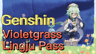 Violetgrass Lingju Pass