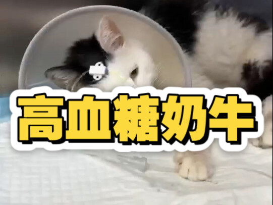 Some cases are far more complicated than they appear.