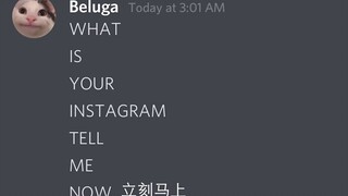 [Beluga和他的小伙伴]猫咪只是想要女生的联系方式 又有什么坏心思呢....