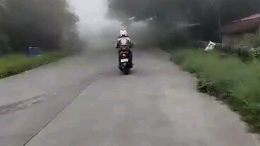 Foggy Ride