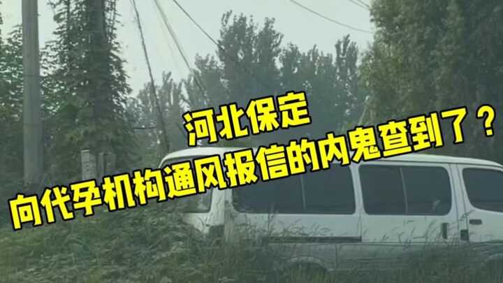 Hà Bắc, Bảo Định: Kẻ nội gián thông báo cho cơ sở mang thai hộ đã bị điều tra ra chưa? Mốc thời gian