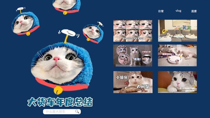 Lại thêm một năm trôi qua! Độ đáng yêu của chú mèo này vẫn không hề suy giảm chút nào!