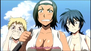 gurita