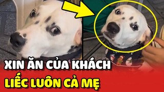 Bé Đốm XIN ĂN khô gà của khách bị mẹ kêu vào thì LIẾC luôn cả mẹ 😂 | Yêu Lu