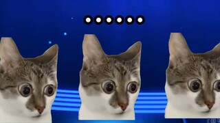 الآن وقت التخفي!👌😋