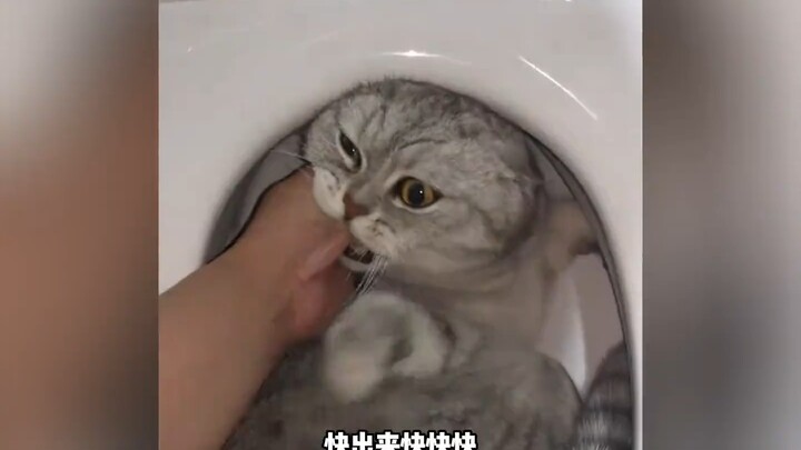 Nhà nào mà chẳng có một đứa con ngỗ ngược?