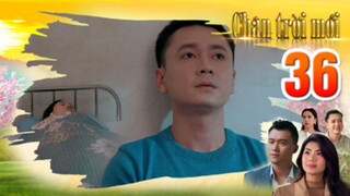CHÂN TRỜI MỚI TẬP 36 | Phim truyện Việt Nam mới nhất 2025 | Phim tình cảm Việt Nam | THVL Phim