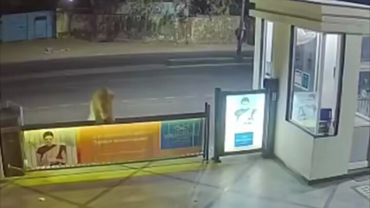 Security Guard: What the heck just went by??