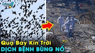 ✈️ 7 Hiện Tượng Thần Bí Chấn Động Ở Trung Quốc Mà Có Thể Bạn Chưa Biết | Khám Phá Đó Đây