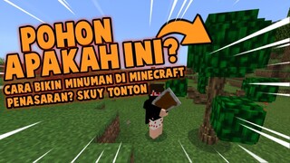 POHON APAKAH INI? CARA BIKIN MINUMAN DI MINECRAFT,PENASARAN? SKUY TONTON!