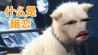 从未开始过，但却害怕结束