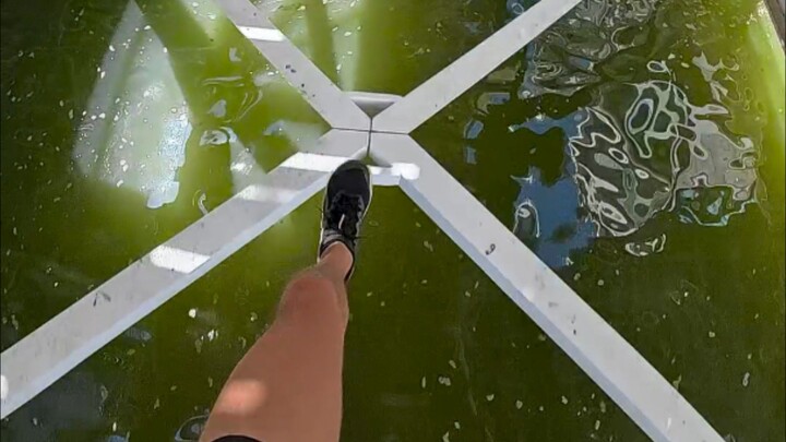 Don't fall in the green water 🤮