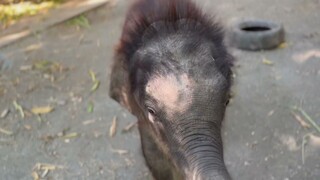 ตะวันวิ่งเล่นแต่เช้าเลย