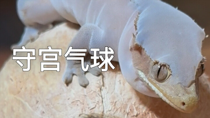 Who can resist blowing the eyelash-shaped balloon?