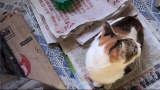 VID_20240125