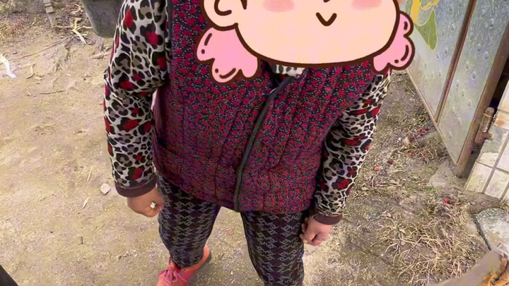 فقدتُ طيرتي المحبوبة...