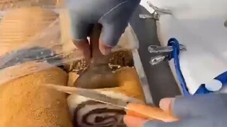 驴打滚骗局让女子给破了 女子：大姨心虚的脸都红了 #万万没想到