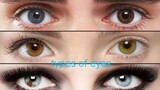 types of eyes color personality 🤎