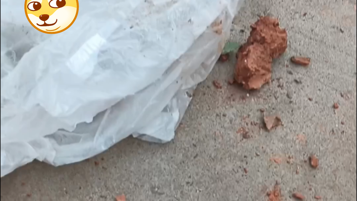 Thành tích 1 vs 98 có thể tra cứu 😎