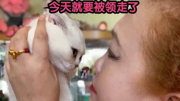 D4DF467F-8EB1-4473-8891-2A867D79C946