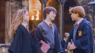 [Harry Potter] Mời Rượu 让酒 (Vietsub)