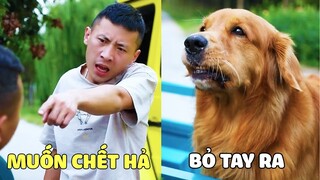 Gia Đình Lốp | Phim Ngắn - Gã Lưu Manh Đòi Hành Hung Chủ Tịch Lốp Và Cái Kết 😎 Gâu Đần Official