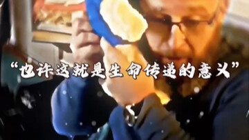 “Maybe this is the meaning of life’s transmission.”