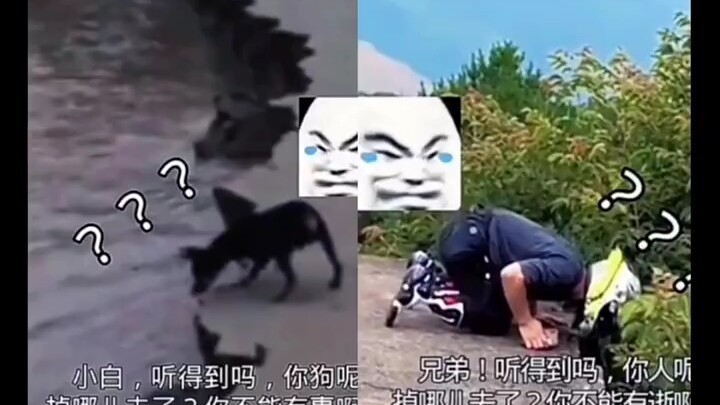 ความคล้ายคลึงร้อยเปอร์เซ็นต์