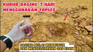 EKSPERIMEN: KUBUR DAGING didalam BOTOL KEDAP UDARA