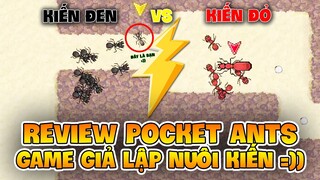 THỬ MỘT NGÀY LÀM CON KIẾN CÙNG GAME GIẢ LẬP POCKET ANTS SIÊU BÁNH CUỐN ! NAM ART REVIEW