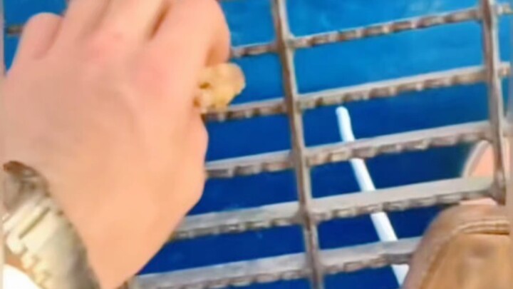 一秒钓鱼，这样的打窝你见过吗