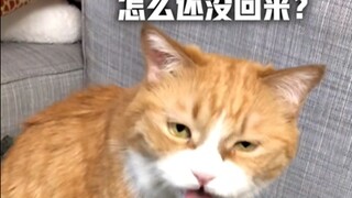 姜阿姨不在家，小咪对胡叔叔的态度转变了！