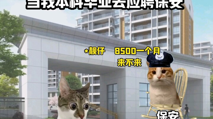 [Cat meme] Work as a security guard directly after graduation, happy every day!