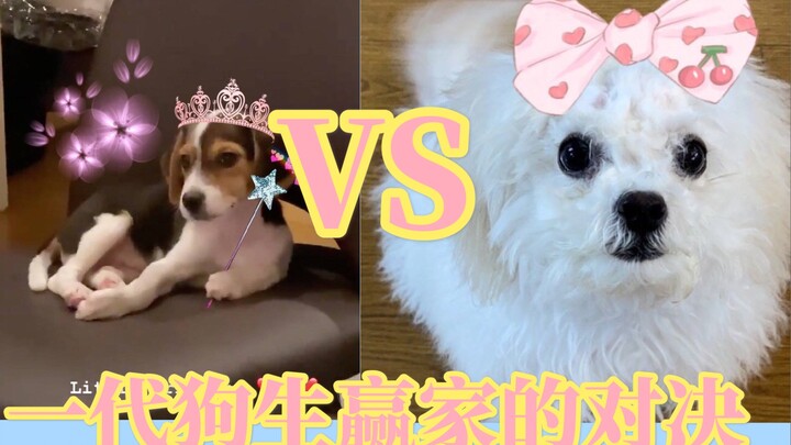 【NCT】“Princess Showdown”