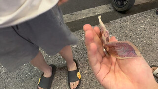 If you dare to say it, I dare to film it.