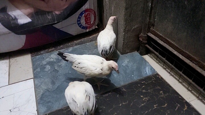 ang ganda nyo tignan png tnggal stress