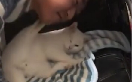 猫: 这是另外收费的项目