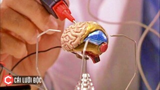 Tóm Tắt Phim - ĐIỆP VIÊN NHÍ - SPY KIDS 2001 - Review Phim By Cái Lưỡi Độc P108