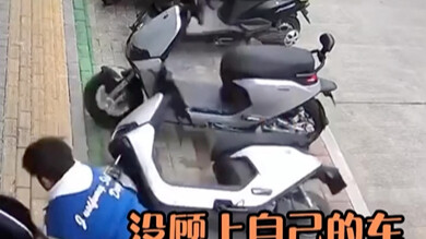 据说这就是柯基效应