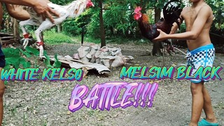 WHITE KELSO VS MELSIM BLACK ( UNANG BITAW KAYA PASOK LNG NG PASOK🤣)      SPAR!!