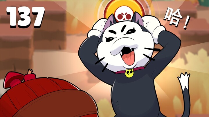 The kitten just huffed… [Brawl Stars Fun Moments 137]