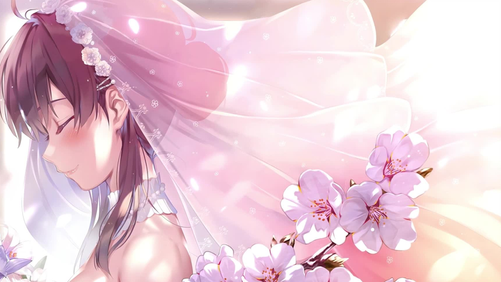【Mei Kato/Live Wallpaper】The Oath Under the Cherry Blossoms