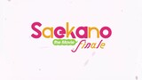 Saekano the Movie Finale - PV (Eng Sub)