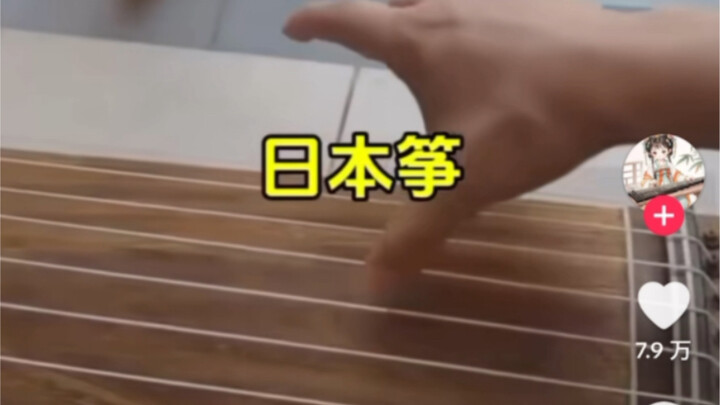 So sánh âm sắc đàn tranh Trung – Nhật trên TikTok: Cư dân mạng khen ngợi nhau trong phần bình luận, 