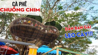 Dẫn bạn gái "leo cây" uống Cà Phê Chuồng Chim tại Cần Thơ