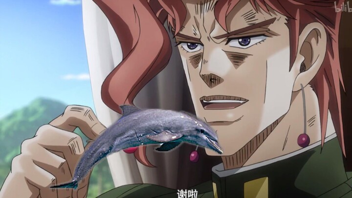 JOJO 这个海豚你还吃吗？