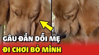 Gâu Đân GIẬN DỖI vì mẹ đi chơi mấy ngày không về 😂 | Yêu Lu