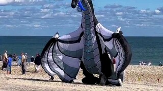 风筝の究极进化！谁来给我买！